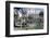 Plaza De Armas, Main Square, Arequipa, Unesco World Heritage Site, Peru, South America-Walter Rawlings-Framed Photographic Print