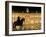 Plaza Mayor by Night, Madrid, Spain-Sergio Pitamitz-Framed Photographic Print