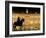 Plaza Mayor by Night, Madrid, Spain-Sergio Pitamitz-Framed Photographic Print