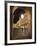 Plaza Mayor, Salamanca, Spain-Walter Bibikow-Framed Photographic Print