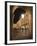 Plaza Mayor, Salamanca, Spain-Walter Bibikow-Framed Photographic Print