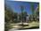 Plaza Vasco De Quiroga, Patzcuaro, Michoacan, Mexico, North America-Richard Maschmeyer-Mounted Photographic Print