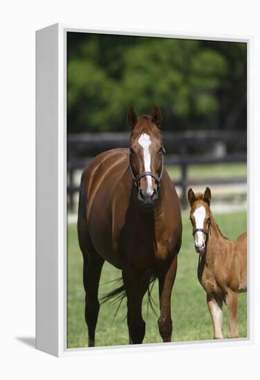 Pleasant Acres, FL-Bob Langrish-Framed Premier Image Canvas