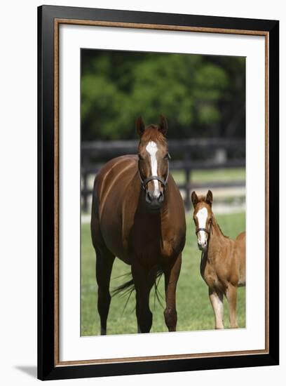 Pleasant Acres, FL-Bob Langrish-Framed Photographic Print