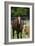 Pleasant Acres, FL-Bob Langrish-Framed Photographic Print