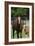 Pleasant Acres, FL-Bob Langrish-Framed Photographic Print