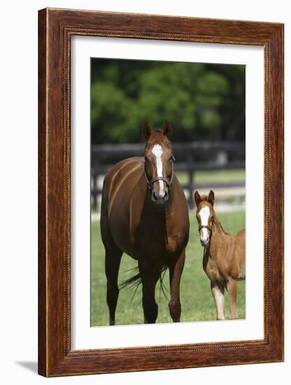 Pleasant Acres, FL-Bob Langrish-Framed Photographic Print