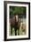 Pleasant Acres, FL-Bob Langrish-Framed Photographic Print