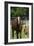 Pleasant Acres, FL-Bob Langrish-Framed Photographic Print