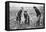 Pleasant, Profitable, Patriotic: on a Fruit-Farm at Letchmore Heath, Near St. Albans-English Photographer-Framed Premier Image Canvas