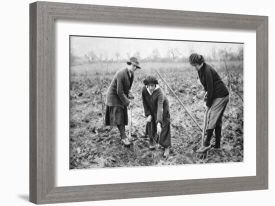 Pleasant, Profitable, Patriotic: on a Fruit-Farm at Letchmore Heath, Near St. Albans-English Photographer-Framed Giclee Print