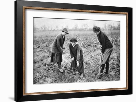 Pleasant, Profitable, Patriotic: on a Fruit-Farm at Letchmore Heath, Near St. Albans-English Photographer-Framed Giclee Print