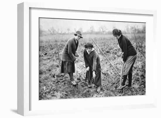 Pleasant, Profitable, Patriotic: on a Fruit-Farm at Letchmore Heath, Near St. Albans-English Photographer-Framed Giclee Print
