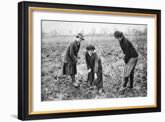 Pleasant, Profitable, Patriotic: on a Fruit-Farm at Letchmore Heath, Near St. Albans-English Photographer-Framed Giclee Print