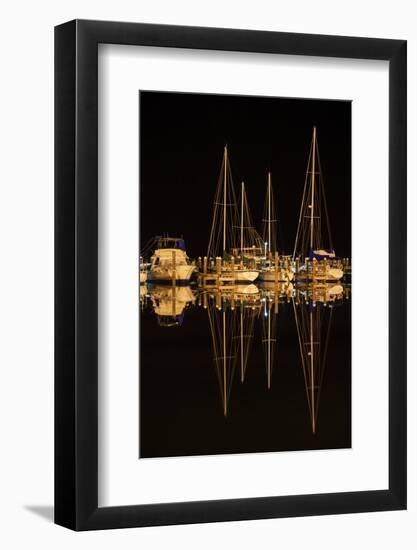 Pleasure Boats in Fulton Harbor-Larry Ditto-Framed Photographic Print