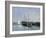 Pleasure Boats Near Argenteuil-Claude Monet-Framed Giclee Print