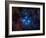 Pleiades, also known as the Seven Sisters-Stocktrek Images-Framed Photographic Print