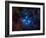 Pleiades, also known as the Seven Sisters-Stocktrek Images-Framed Photographic Print