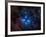 Pleiades, also known as the Seven Sisters-Stocktrek Images-Framed Photographic Print