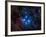 Pleiades, also known as the Seven Sisters-Stocktrek Images-Framed Photographic Print