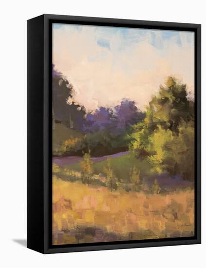 Plein Air Landscape-Jill Schultz McGannon-Framed Stretched Canvas