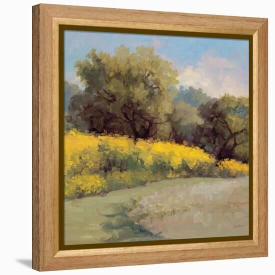 Plein Air Lavender and Yellow-Jill Schultz McGannon-Framed Stretched Canvas