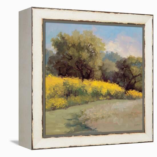 Plein Air Lavender and Yellow-Jill Schultz McGannon-Framed Stretched Canvas
