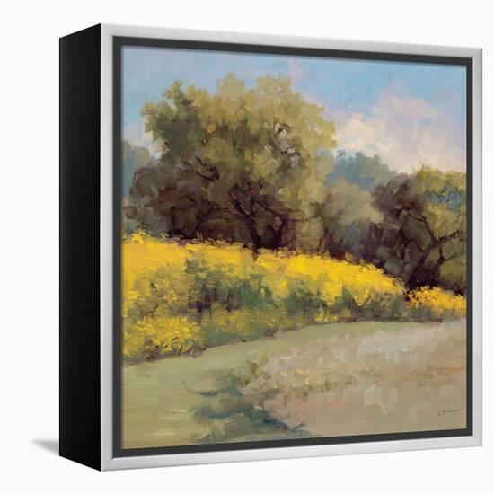 Plein Air Lavender and Yellow-Jill Schultz McGannon-Framed Stretched Canvas