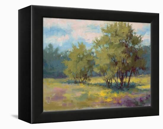 Plein Air View-Jill Schultz McGannon-Framed Stretched Canvas