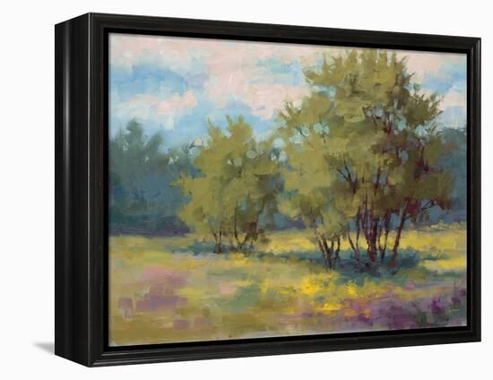 Plein Air View-Jill Schultz McGannon-Framed Stretched Canvas