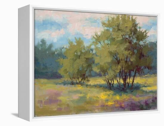 Plein Air View-Jill Schultz McGannon-Framed Stretched Canvas