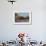 Plein Air Wild Lavender-Jill Schultz McGannon-Framed Premium Giclee Print displayed on a wall