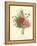 Plentiful Bouquet II-T.L. Prevost-Framed Stretched Canvas