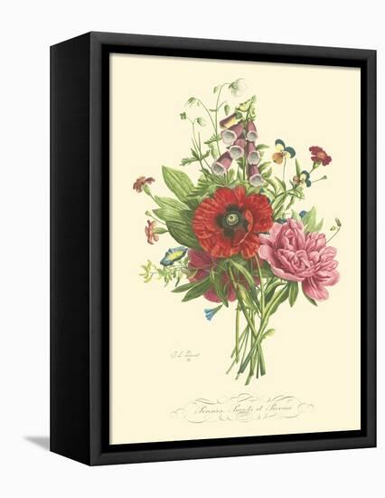Plentiful Bouquet II-T.L. Prevost-Framed Stretched Canvas