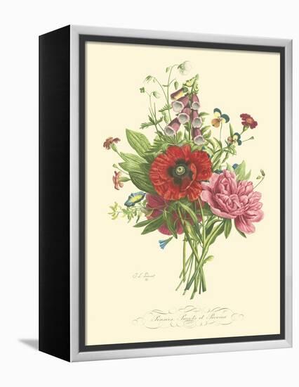 Plentiful Bouquet II-T.L. Prevost-Framed Stretched Canvas