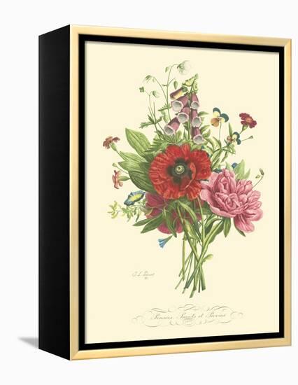 Plentiful Bouquet II-T.L. Prevost-Framed Stretched Canvas