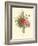 Plentiful Bouquet II-T.L. Prevost-Framed Art Print