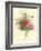 Plentiful Bouquet II-T.L. Prevost-Framed Art Print