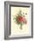 Plentiful Bouquet II-T.L. Prevost-Framed Art Print