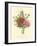 Plentiful Bouquet II-T.L. Prevost-Framed Art Print