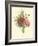 Plentiful Bouquet II-T.L. Prevost-Framed Art Print