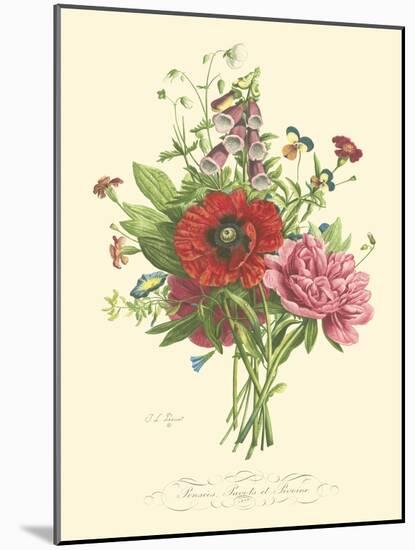 Plentiful Bouquet II-T.L. Prevost-Mounted Art Print