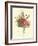 Plentiful Bouquet II-T.L. Prevost-Framed Art Print