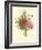 Plentiful Bouquet II-T.L. Prevost-Framed Art Print