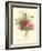 Plentiful Bouquet II-T.L. Prevost-Framed Art Print