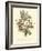 Plentiful Bouquet III-T.L. Prevost-Framed Art Print