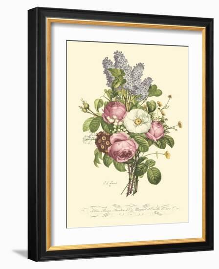 Plentiful Bouquet III-T.L. Prevost-Framed Art Print