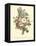 Plentiful Bouquet III-T.L. Prevost-Framed Stretched Canvas