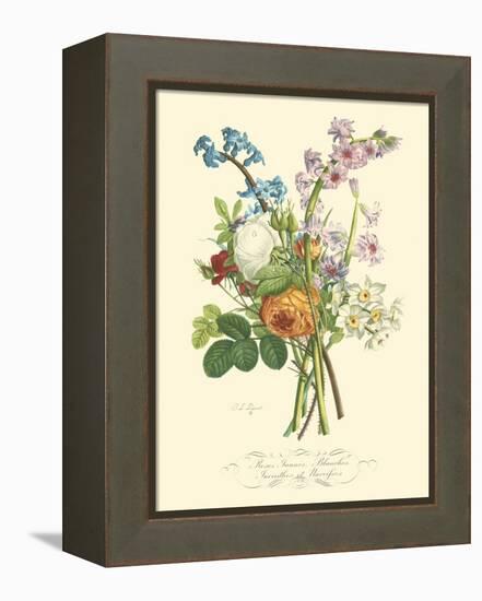 Plentiful Bouquet IV-T.L. Prevost-Framed Stretched Canvas