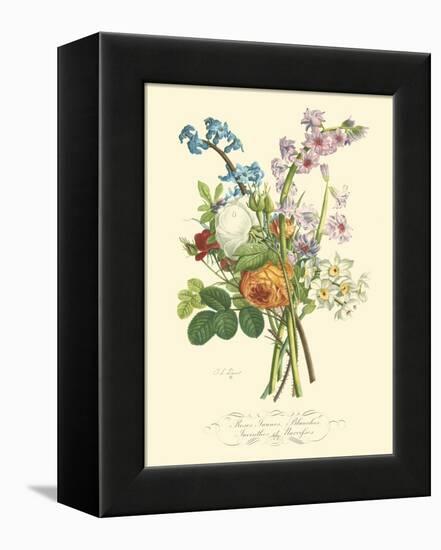 Plentiful Bouquet IV-T.L. Prevost-Framed Stretched Canvas